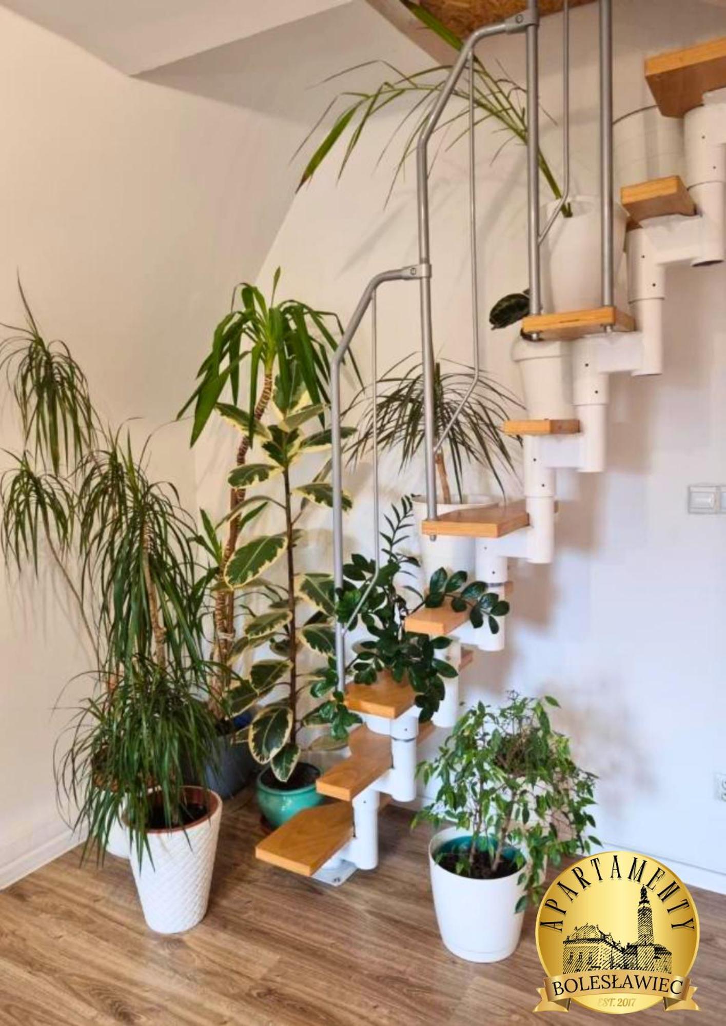 בולסלאביש Apartament W Rynku מראה חיצוני תמונה