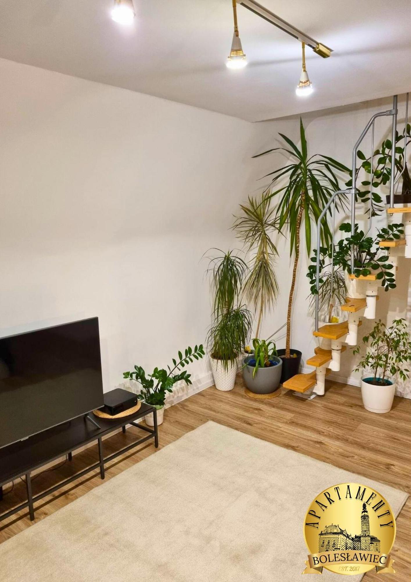בולסלאביש Apartament W Rynku מראה חיצוני תמונה